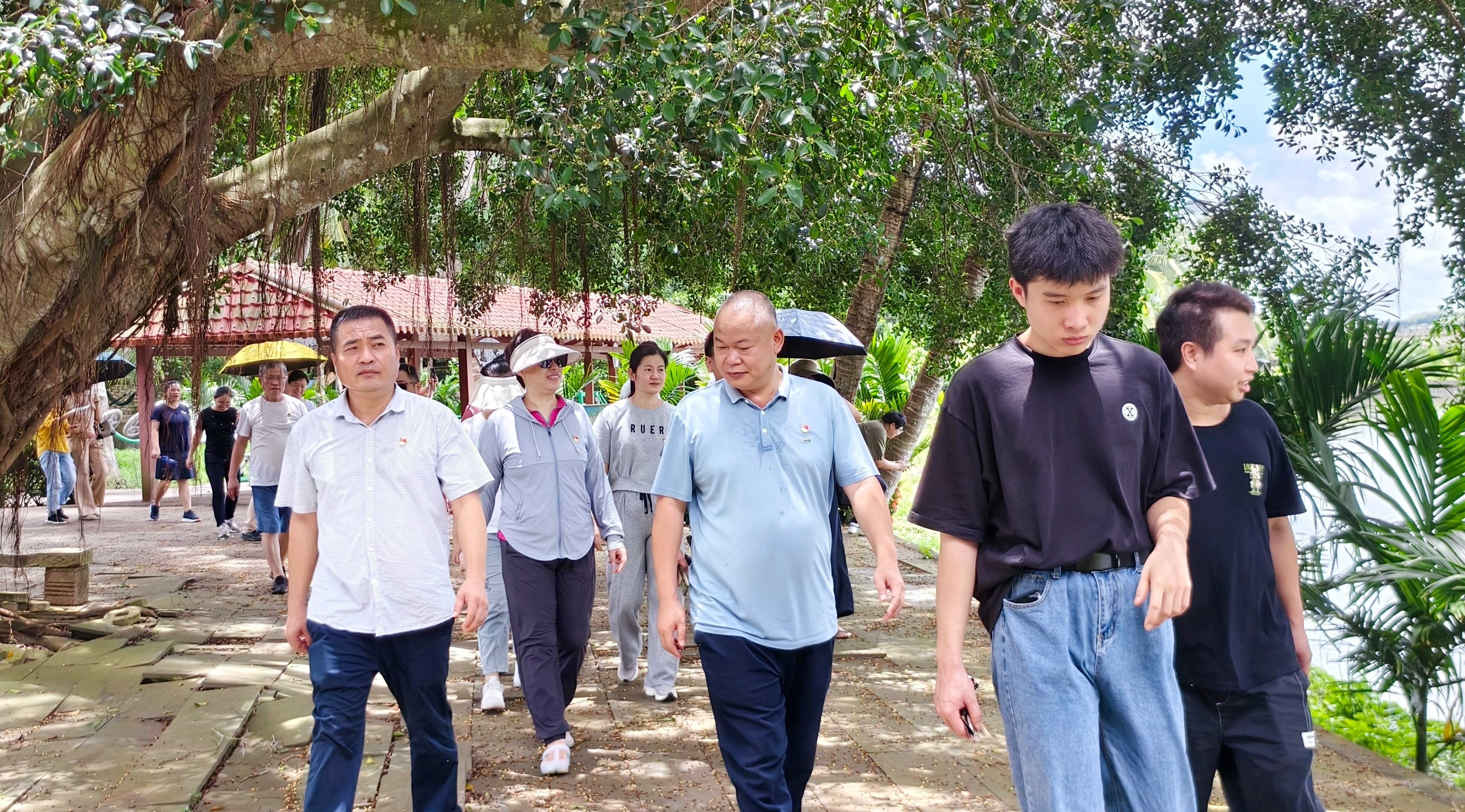 初心写在乡土间 使命扛在肩膀上  --记海口琼山区三门坡镇文岭村党支部书记村委会主任何荣育(图2)
